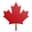 Canadian Space Agency favicon