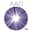 American Academy of Ophthalmology favicon