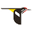 BirdCast favicon