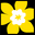 Canadian Cancer Society favicon