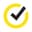 Norton favicon